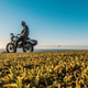 Image for article titled The Fly Free Smart Is the Awesome Looking Electric Motorcycle We've All Been Waiting For